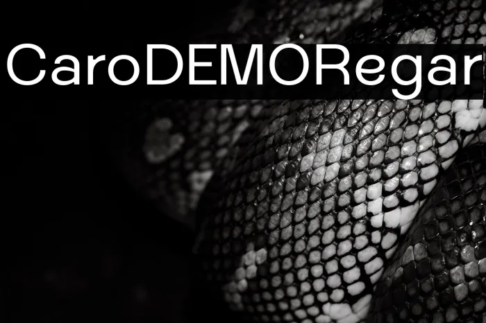 CaliroDEMO Regular Example 3
