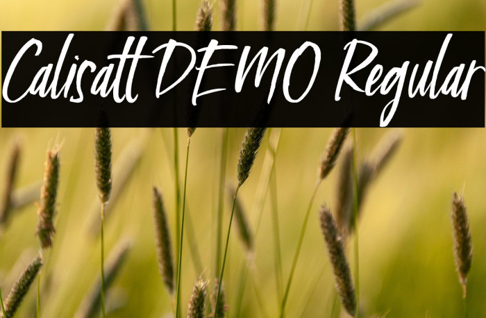 Calisatt DEMO Regular Example 1
