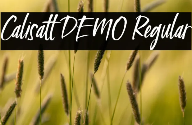 Calisatt DEMO Regular Example 1