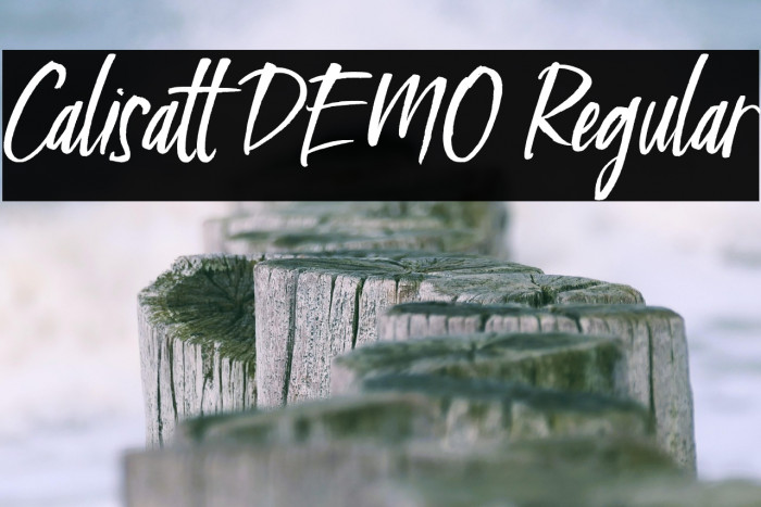 Calisatt DEMO Regular Example 3