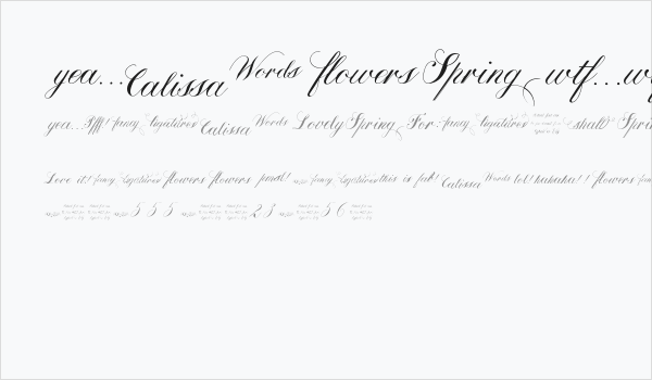 Calissa Words Business Card