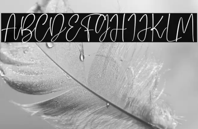 Calista Font examples