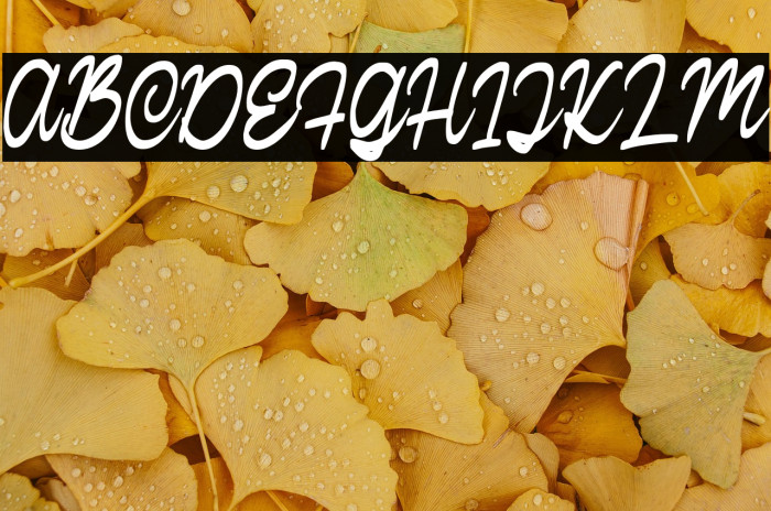 CalisteScriptDEMO-Regular Example 1