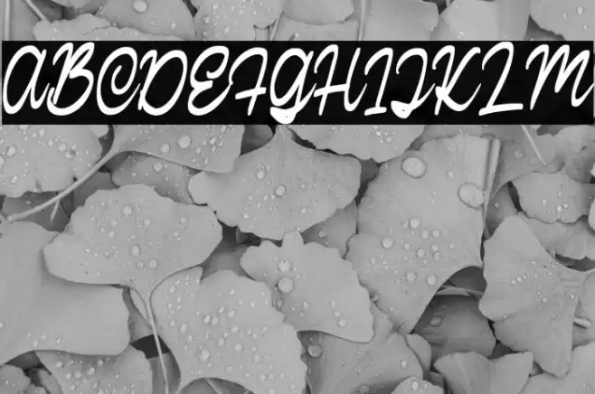 CalisteScriptDEMO-Regular Font examples