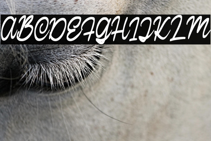 CalisteScriptDEMO-Regular Example 2