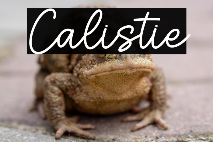 Calistie Example 1