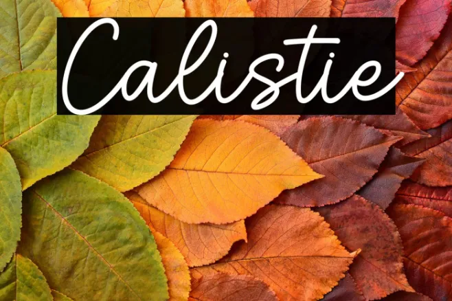 Calistie Example 3