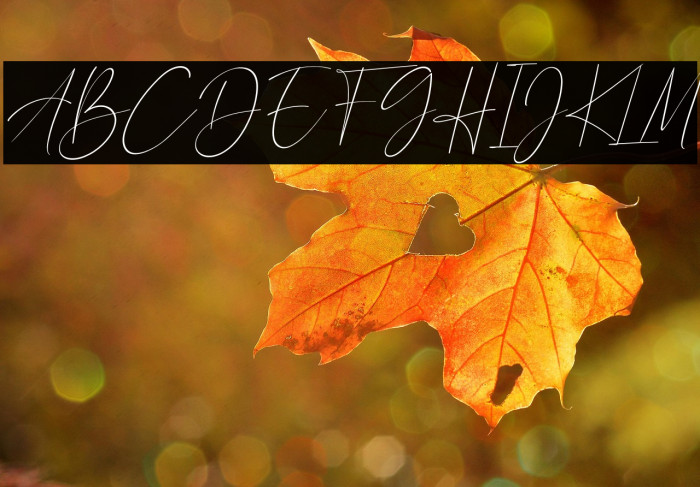 Calistin Italic Example 1