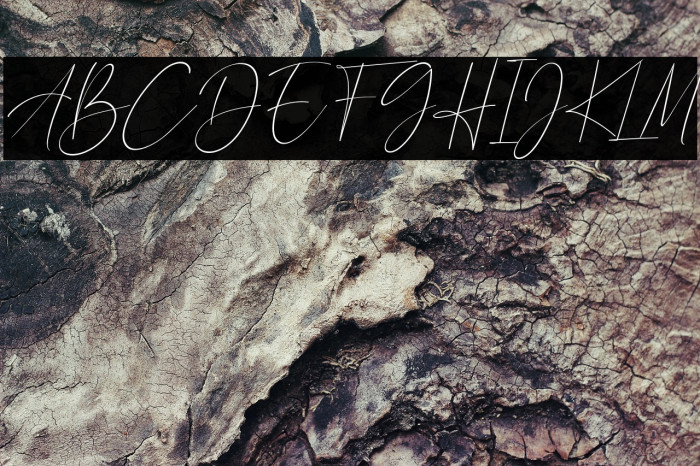 Calistin Italic Example 2