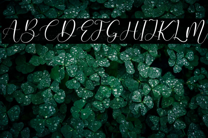 Calistta Mentali Italic Example 1