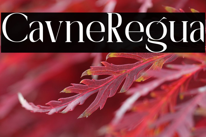 Calivorne Regular Example 1