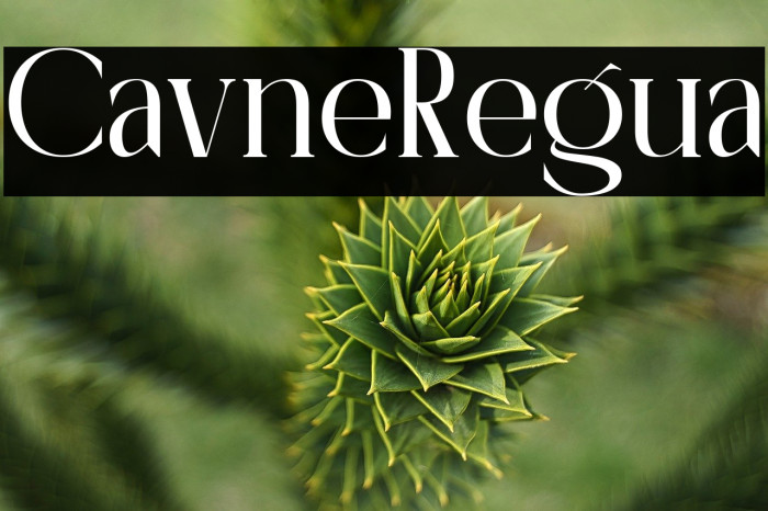 Calivorne Regular Example 2