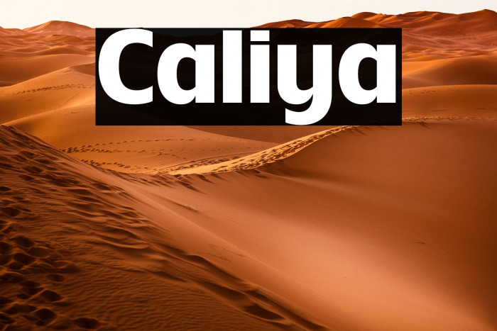 Caliya Example 1
