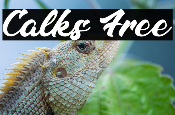 Calks Free Example 2