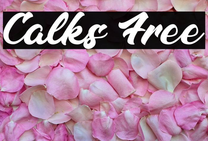 Calks Free Example 3