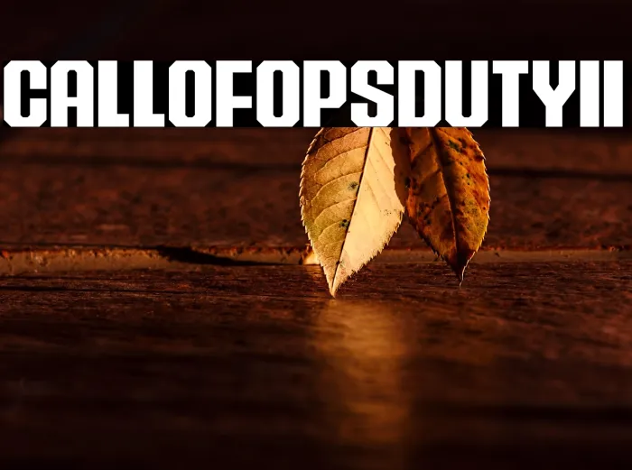Call of Ops Duty II Example 3
