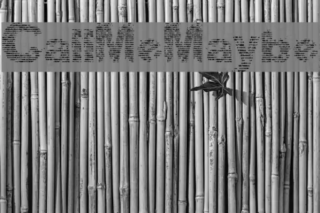 CallMeMaybe Font examples