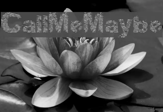 CallMeMaybe Font examples
