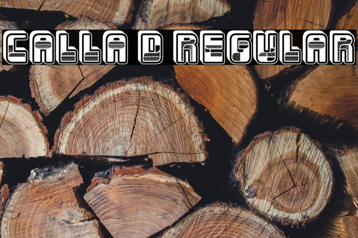 Calla 3D Regular Example 1