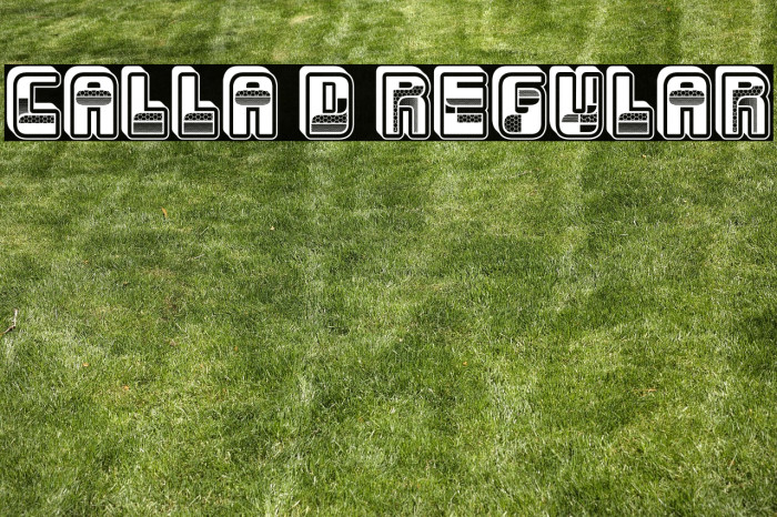 Calla 3D Regular Example 3