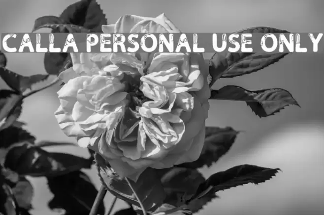 Calla Personal Use Only Font examples