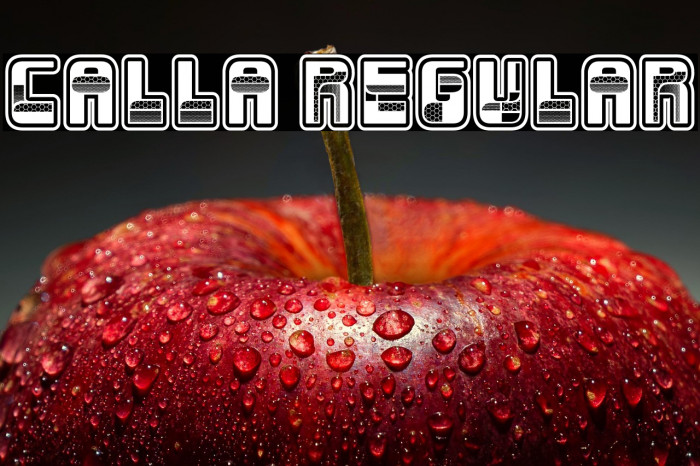 Calla Regular Example 1