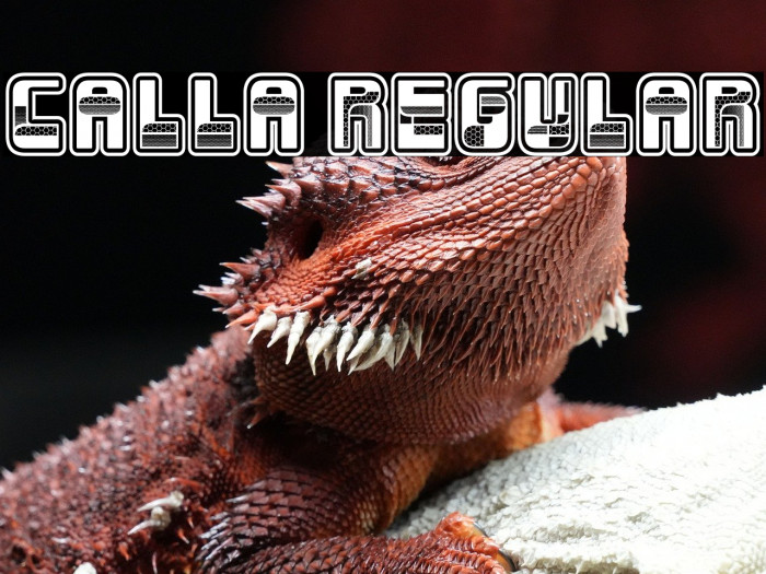 Calla Regular Example 2