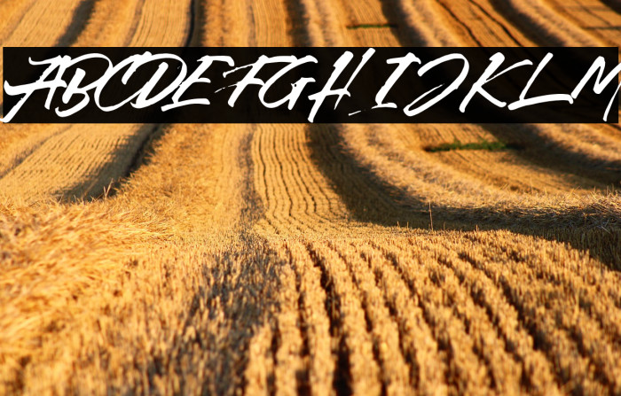 Callaghands Example 3