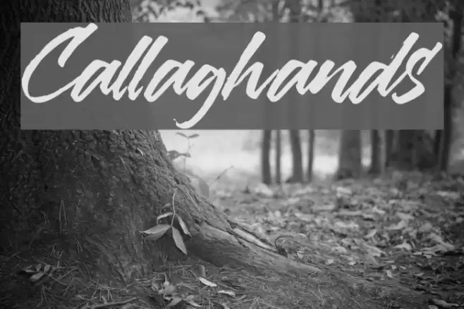 Callaghands Font examples
