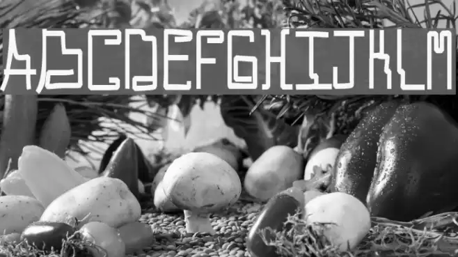 Callallied Font examples