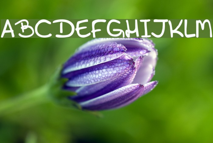 Callani フォント examples