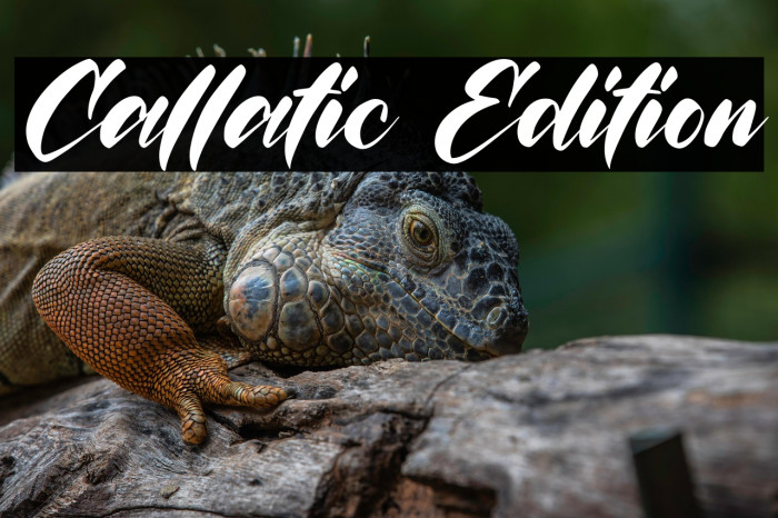 Callatic Edition Example 1