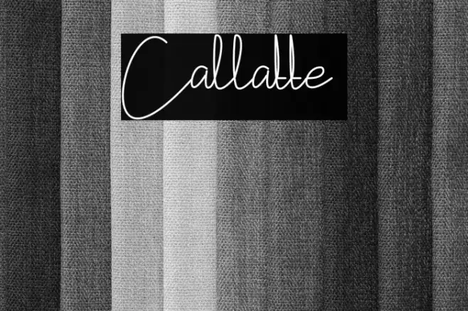 Callatte Font examples