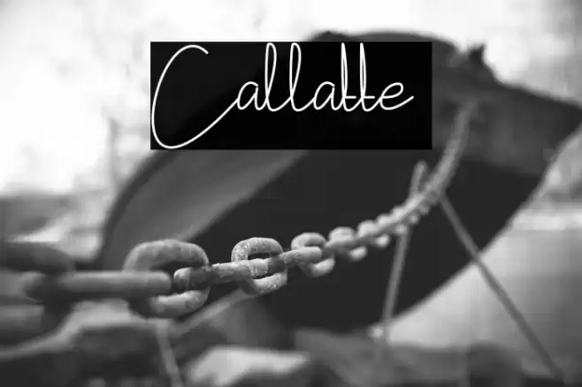 Callatte Font examples