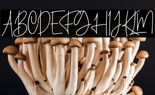 Calledliner Example 1