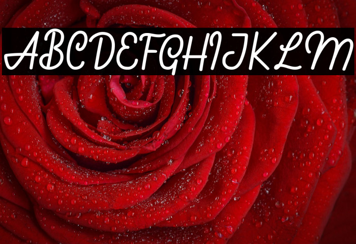 Callephane Example 2