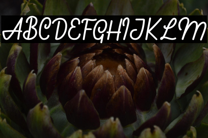 Callephane Example 3