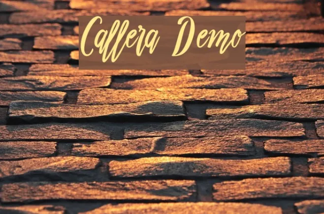 Callera Demo Example 2