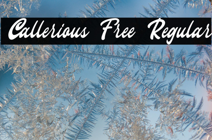 Callerious Free Regular Example 2