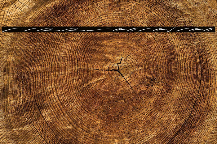 Callesta Swash Example 2