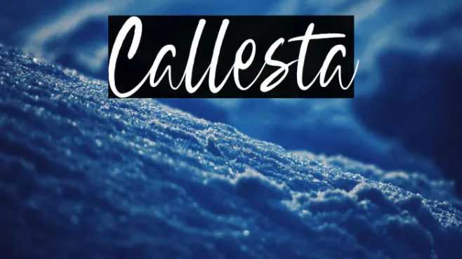 Callesta Example 1