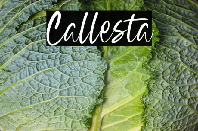 Callesta Example 2