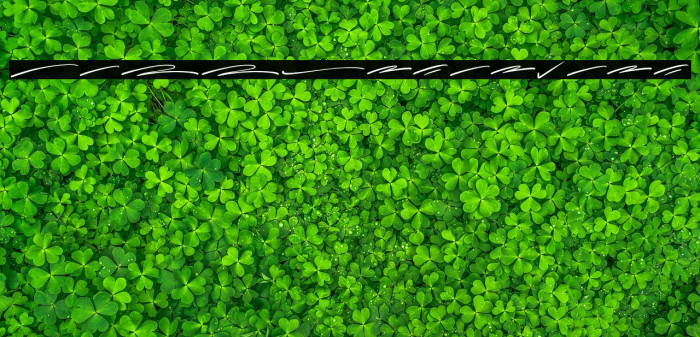 CallestaSwash Example 1