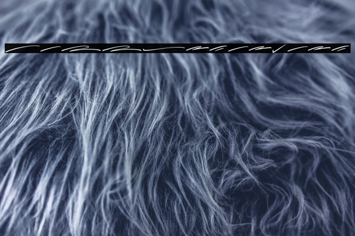 CallestaSwash Example 3