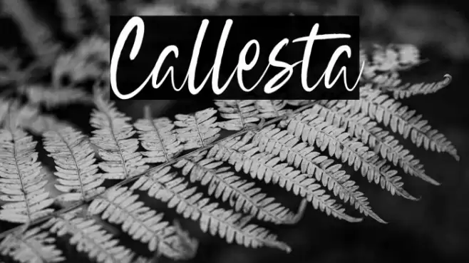 Callesta Font examples