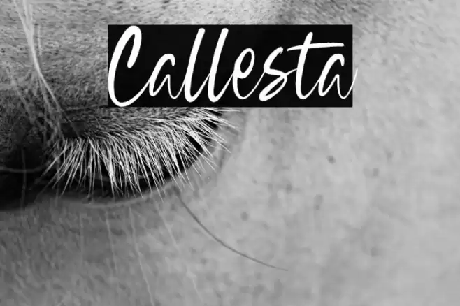 Callesta Font examples
