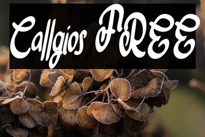 Callgios FREE Example 1