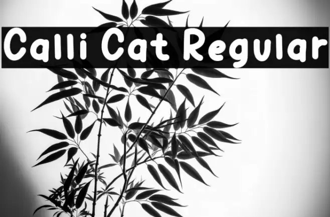 Calli Cat Regular Font examples