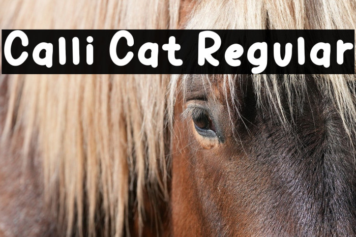 Calli Cat Regular Example 2