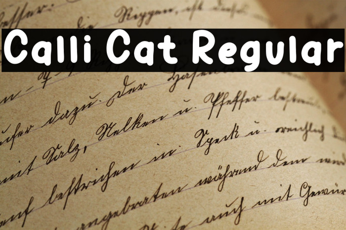 Calli Cat Regular Example 3